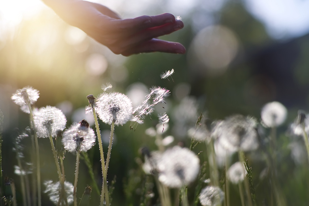 How to live meaningfully?