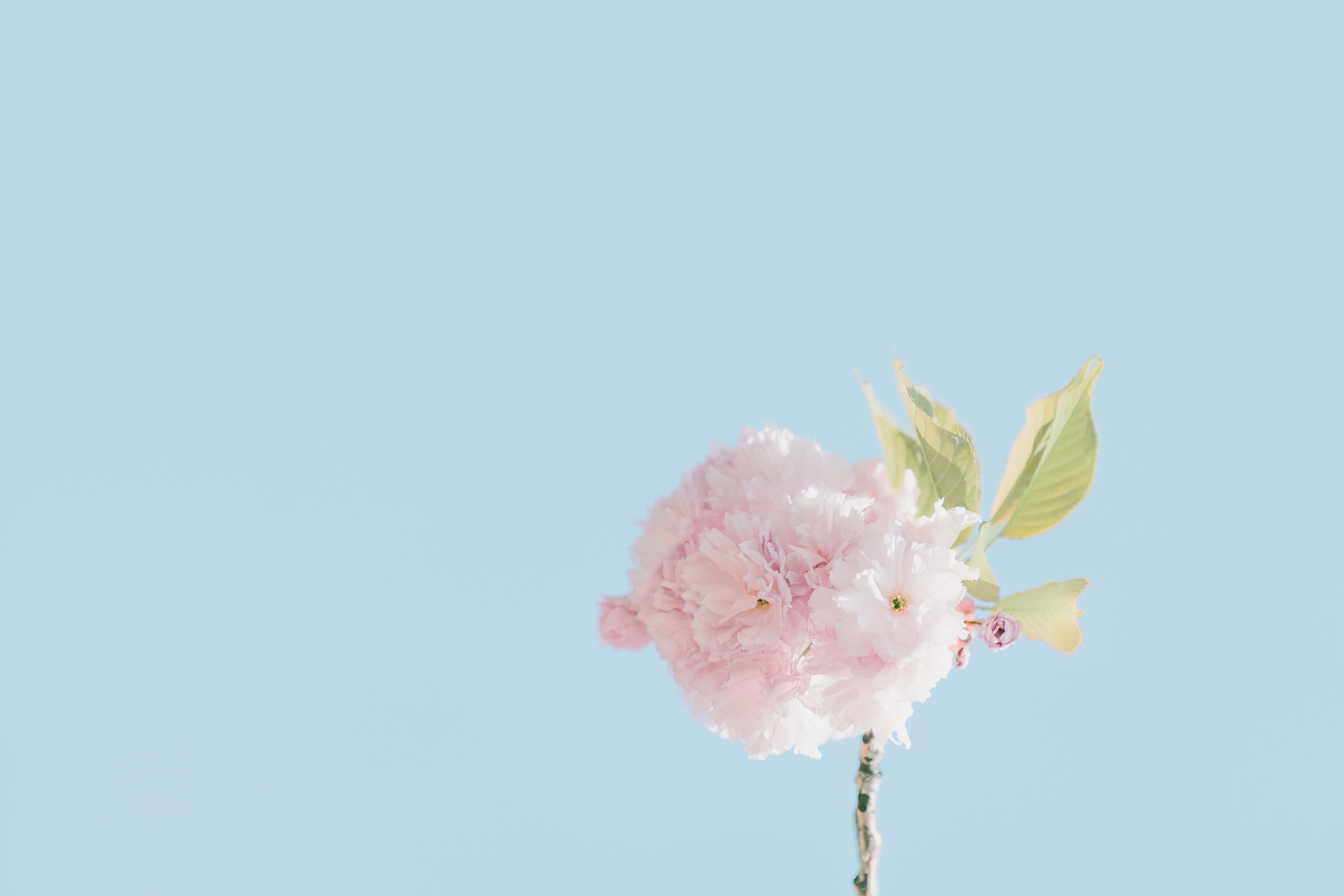 What does it take to be a truly loving person?