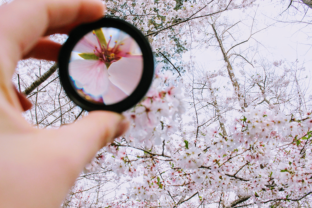 How to cultivate willpower?