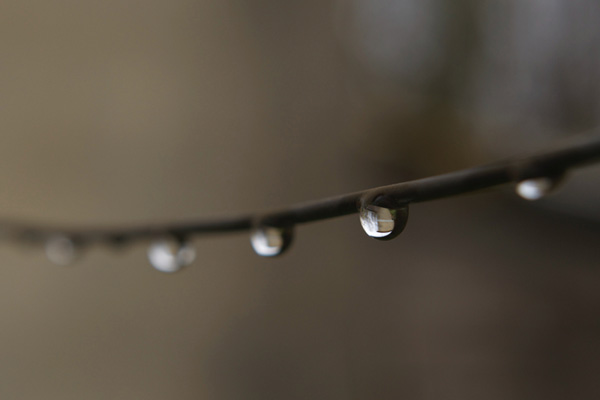 Why Water Matters — Optimizing Our Water Consumption