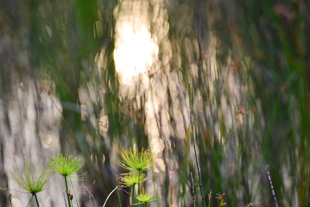 What Witnessing Suffering has Taught Me