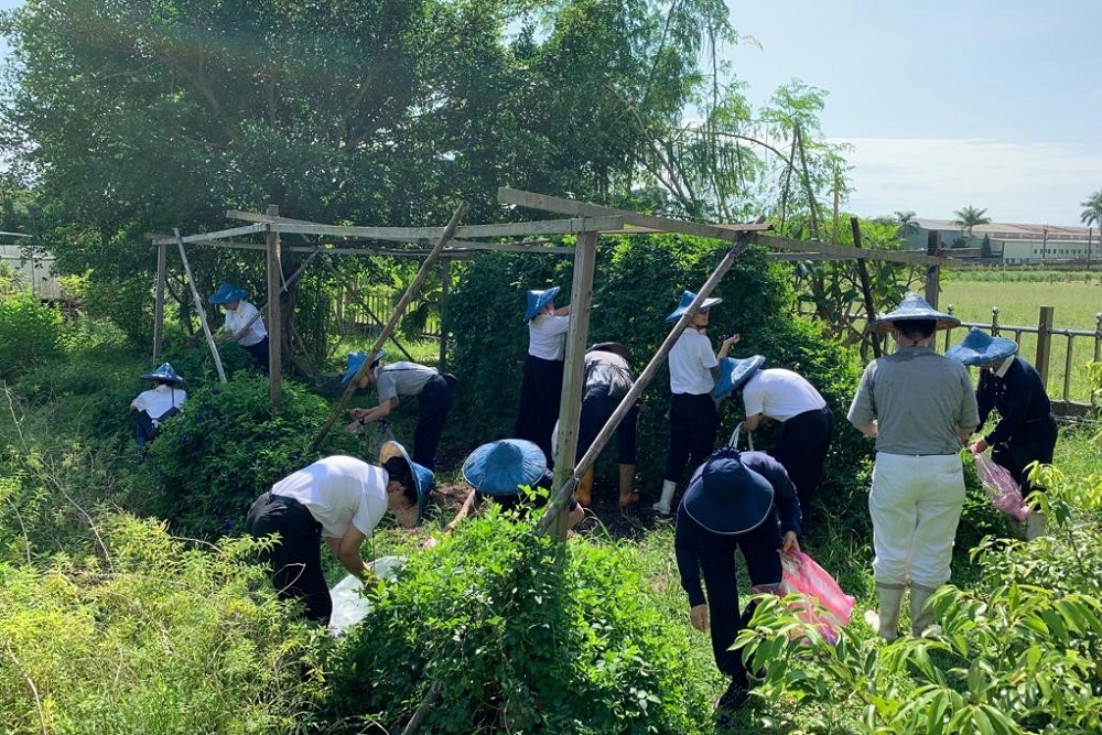 TIMA conf Going Home JS Abode 1