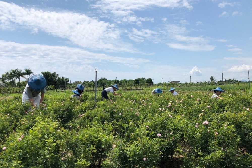 TIMA conf Going Home JS Abode 2