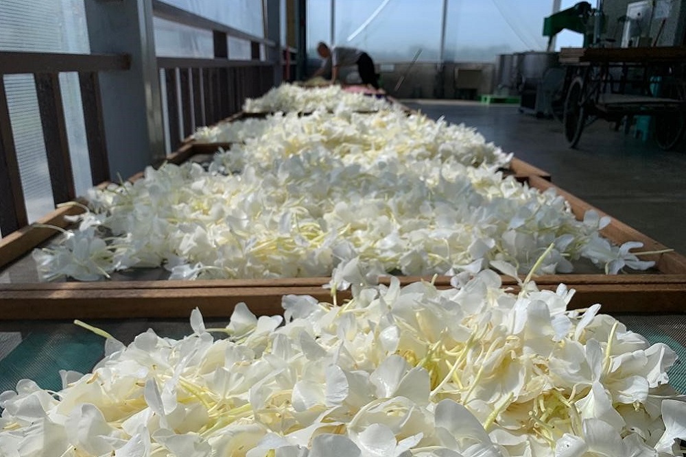 TIMA conf Going Home JS Abode 3